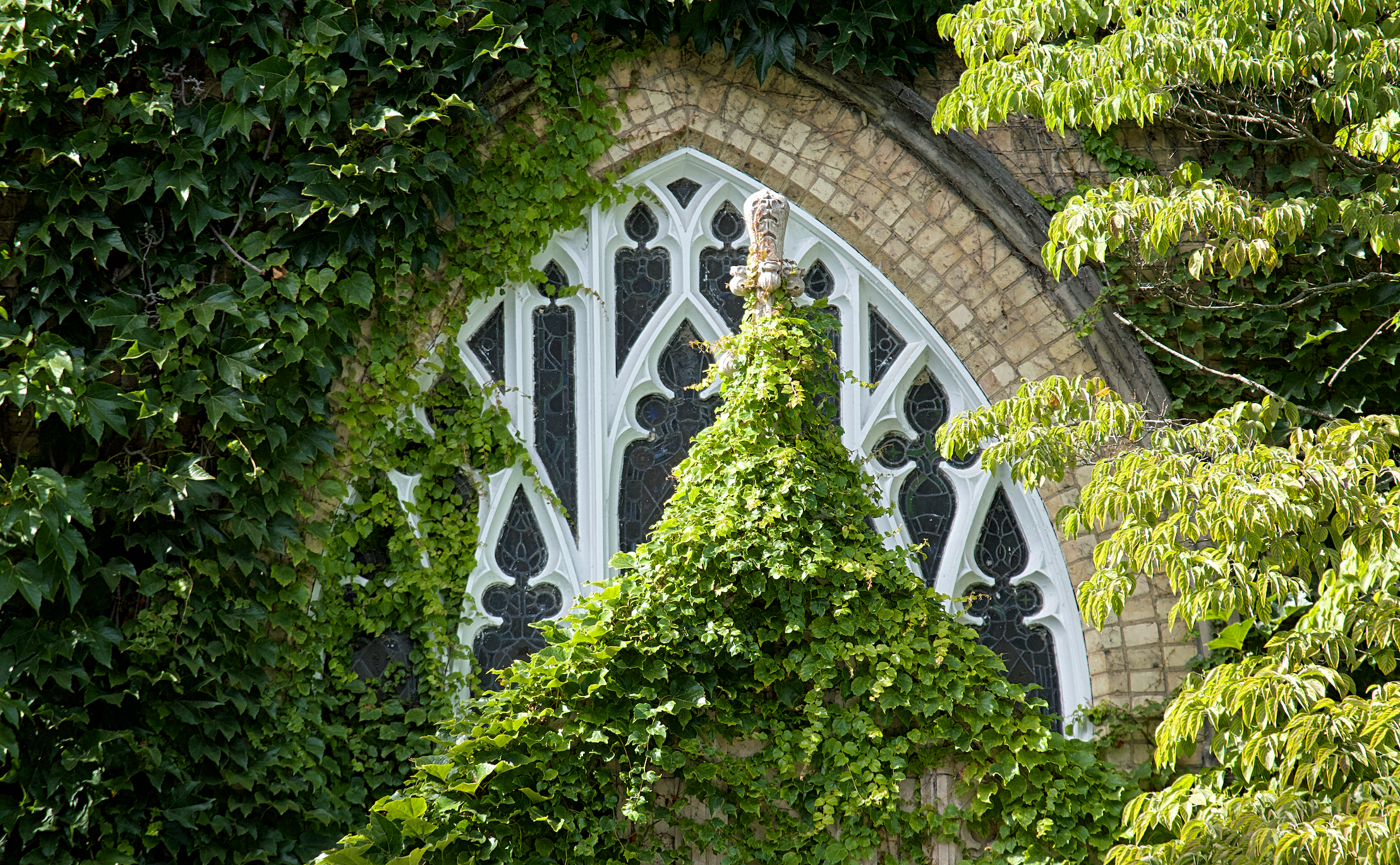 A Mirror of Sainthood in The Curse of Chalion